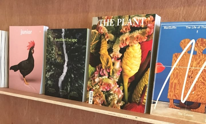 Starting a magazine shop